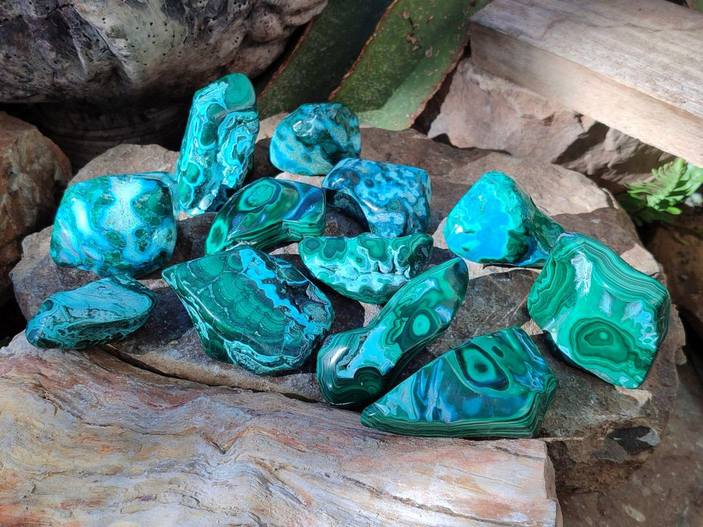 Polished Malacolla Free Forms x 12 From Kulukuluku, Congo - Toprock Gemstones and Minerals 