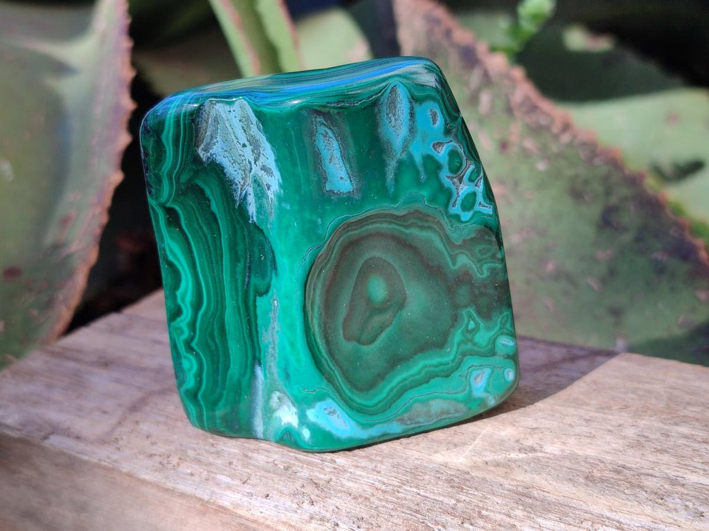 Polished Malacolla Free Forms x 12 From Kulukuluku, Congo - Toprock Gemstones and Minerals 