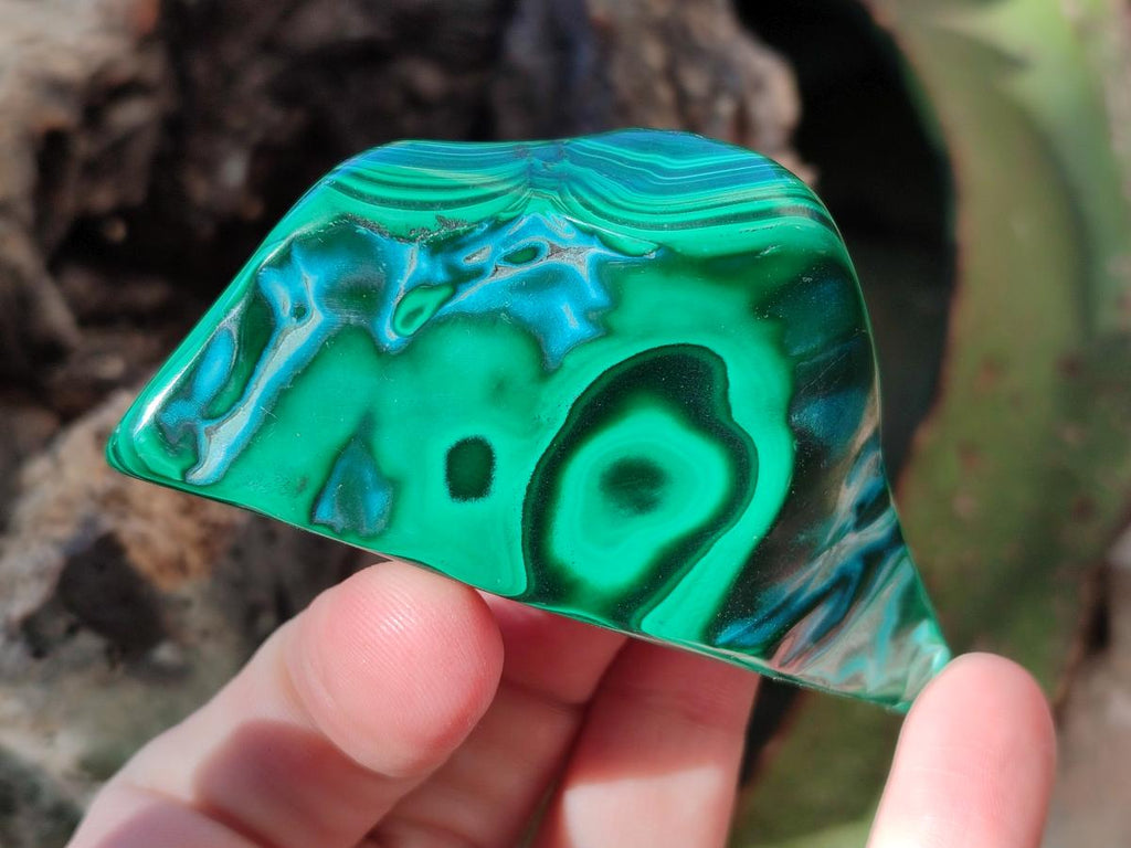 Polished Malacolla Free Forms x 12 From Kulukuluku, Congo - Toprock Gemstones and Minerals 