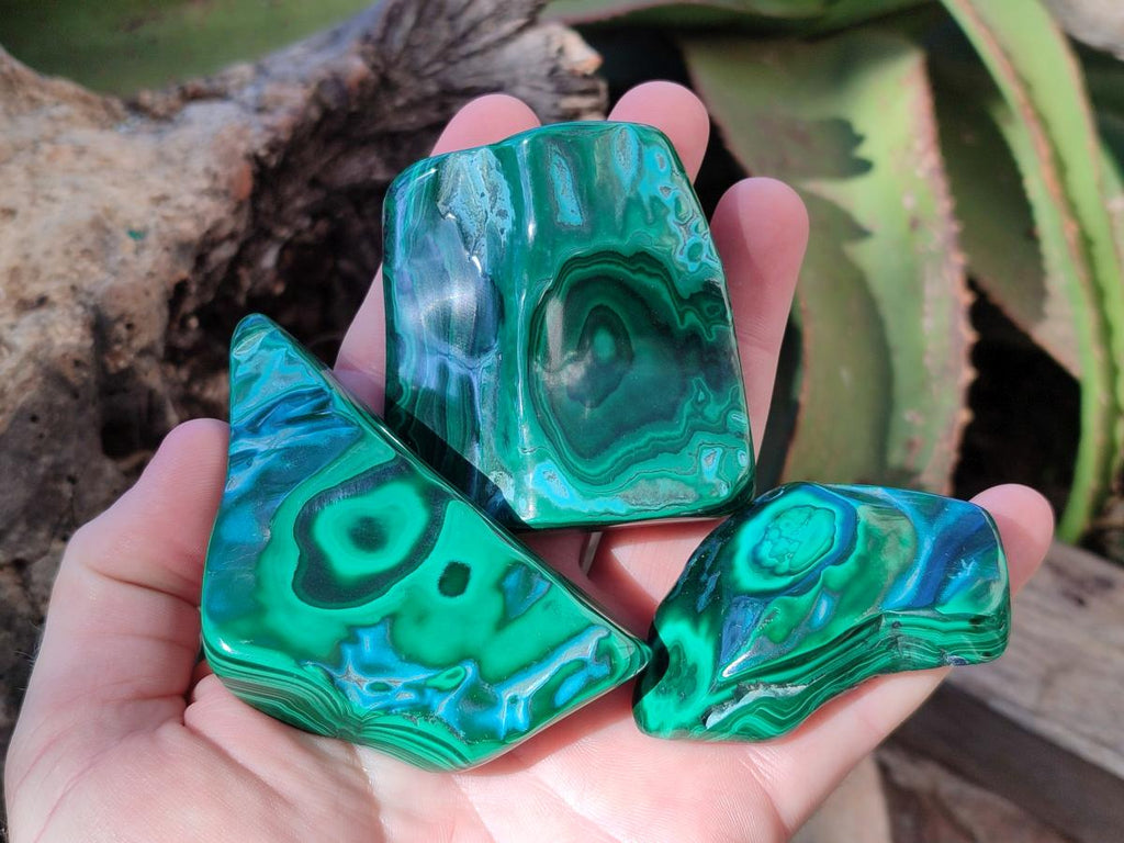 Polished Malacolla Free Forms x 12 From Kulukuluku, Congo - Toprock Gemstones and Minerals 