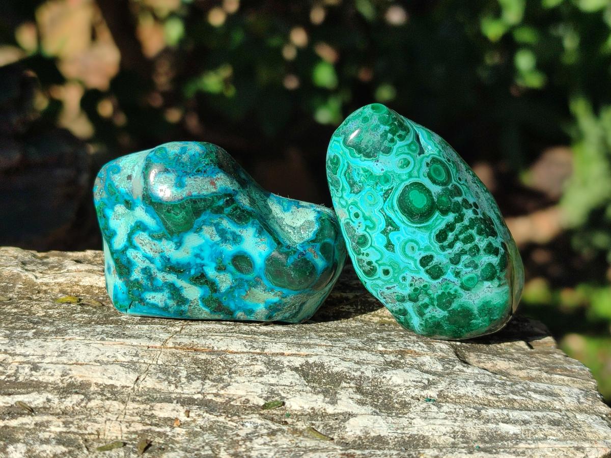Polished Malacolla Free Forms x 12 From Kulukuluku, Congo - Toprock Gemstones and Minerals 