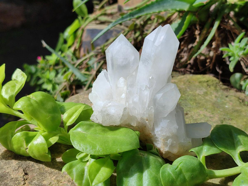 Natural Malagasy Quartz Clusters x 12 From Madagascar - Toprock Gemstones and Minerals 