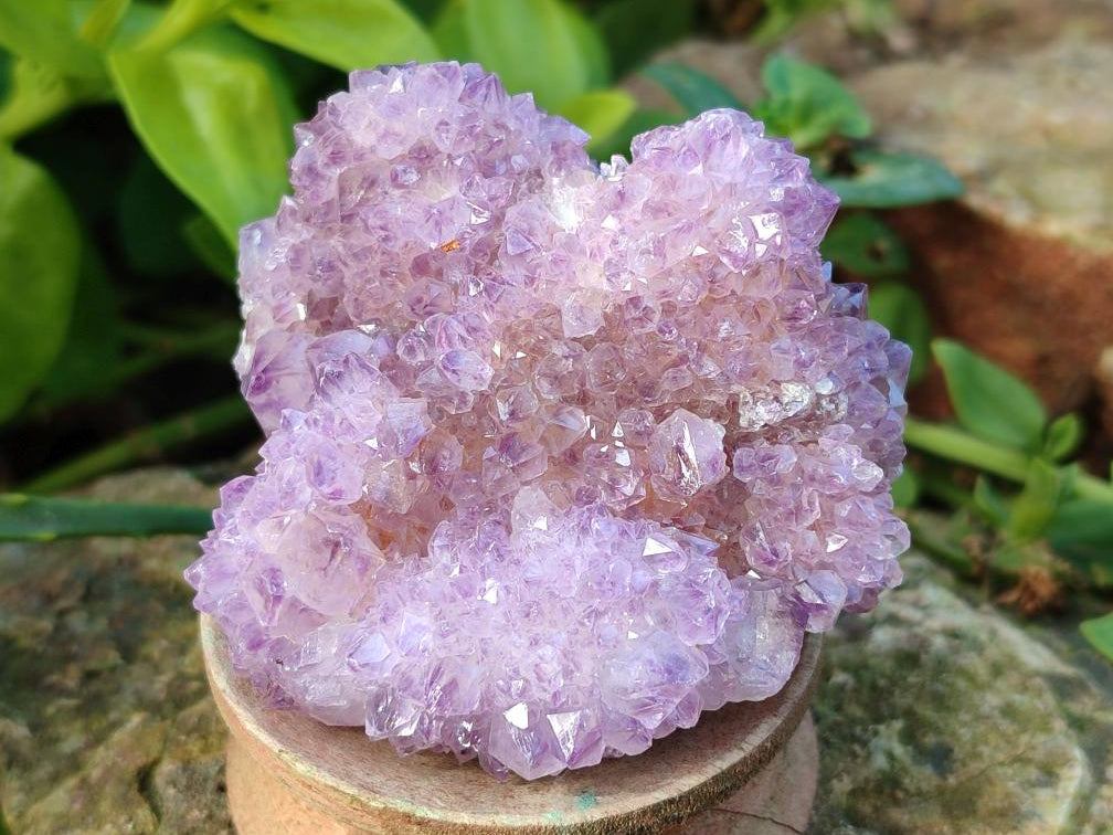 Natural Spirit Amethyst Clusters x 12 From Boekenhouthoek, South Africa - Toprock Gemstones and Minerals 