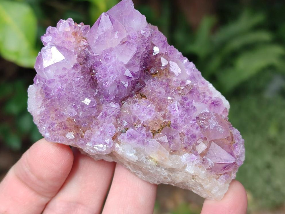 Natural Spirit Amethyst Clusters x 12 From Boekenhouthoek, South Africa - Toprock Gemstones and Minerals 