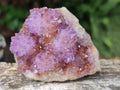 Natural Spirit Amethyst Clusters x 12 From Boekenhouthoek, South Africa - Toprock Gemstones and Minerals 