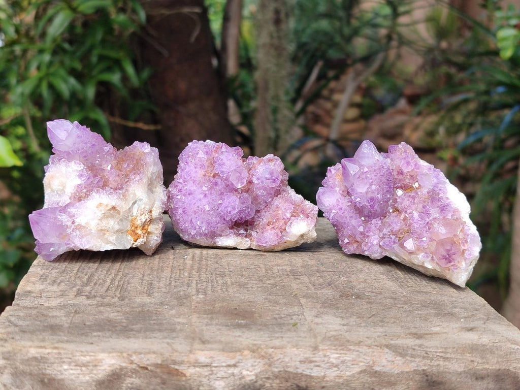 Natural Spirit Amethyst Clusters x 12 From Boekenhouthoek, South Africa - Toprock Gemstones and Minerals 
