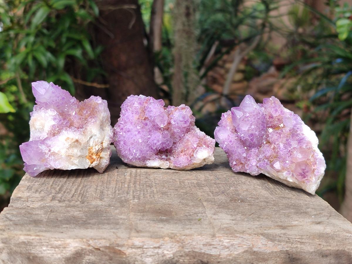 Natural Spirit Amethyst Clusters x 12 From Boekenhouthoek, South Africa - Toprock Gemstones and Minerals 