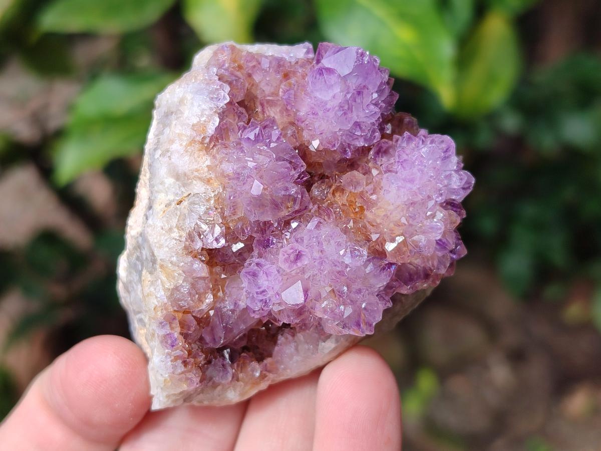 Natural Spirit Amethyst Clusters x 12 From Boekenhouthoek, South Africa - Toprock Gemstones and Minerals 