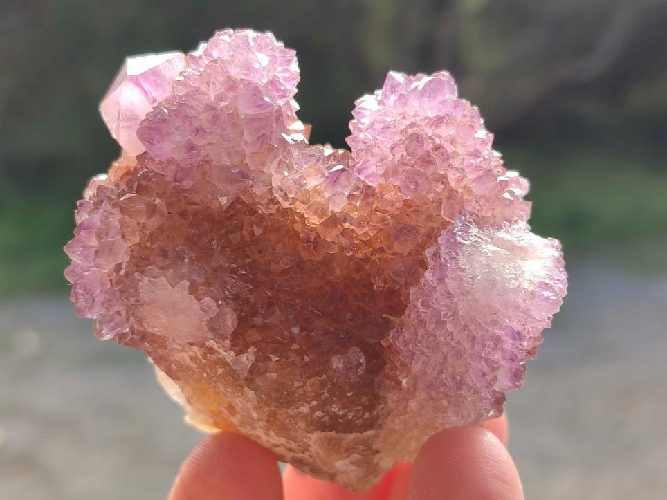 Natural Spirit Amethyst Clusters x 12 From Boekenhouthoek, South Africa - Toprock Gemstones and Minerals 