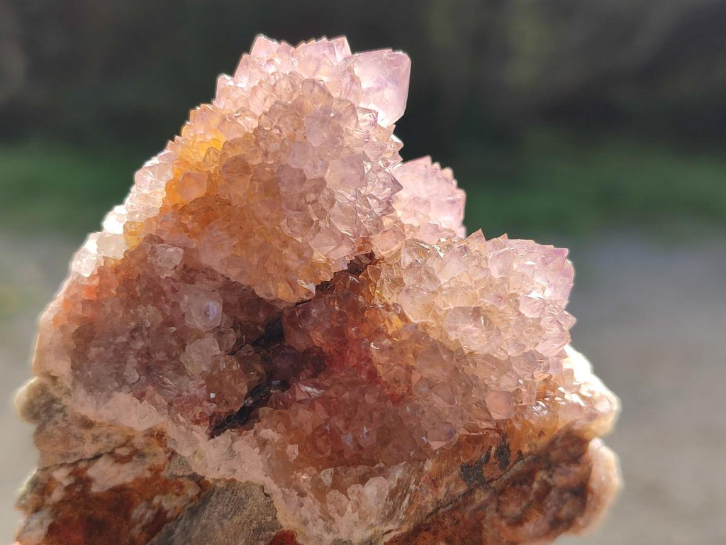 Natural Spirit Amethyst Clusters x 12 From Boekenhouthoek, South Africa - Toprock Gemstones and Minerals 