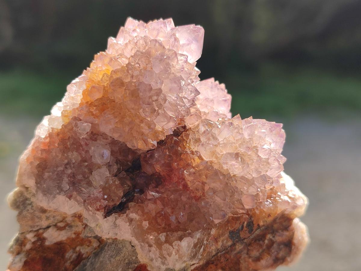 Natural Spirit Amethyst Clusters x 12 From Boekenhouthoek, South Africa - Toprock Gemstones and Minerals 