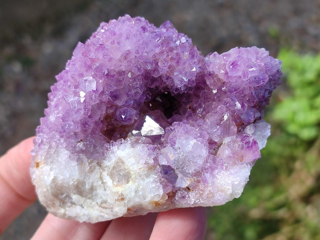 Natural Spirit Amethyst Clusters x 12 From Boekenhouthoek, South Africa - Toprock Gemstones and Minerals 