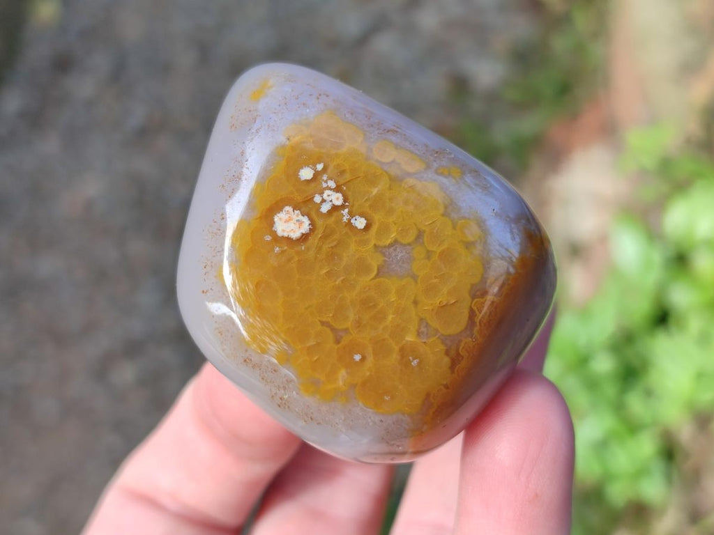 Polished Banded Agate Free Forms x 24 From Madagascar - Toprock Gemstones and Minerals 