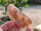Polished Banded Agate Free Forms x 24 From Madagascar - Toprock Gemstones and Minerals 