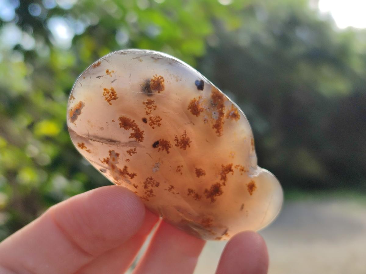 Polished Banded Agate Free Forms x 24 From Madagascar - Toprock Gemstones and Minerals 