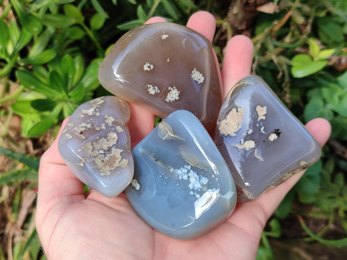 Polished Banded Agate Free Forms x 24 From Madagascar - Toprock Gemstones and Minerals 