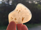 Polished Banded Agate Free Forms x 24 From Madagascar - Toprock Gemstones and Minerals 