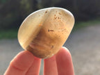 Polished Banded Agate Free Forms x 24 From Madagascar - Toprock Gemstones and Minerals 