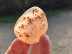 Polished Banded Agate Free Forms x 24 From Madagascar - Toprock Gemstones and Minerals 