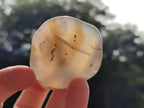 Polished Banded Agate Free Forms x 24 From Madagascar - Toprock Gemstones and Minerals 