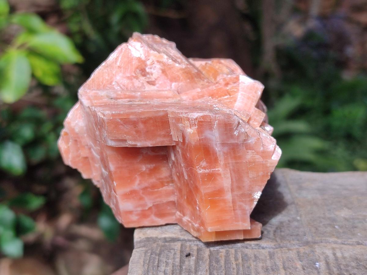 Natural Rhombohedral Sunset Orange Calcite Specimens x 6 From Spitzkop, Namibia - Toprock Gemstones and Minerals 