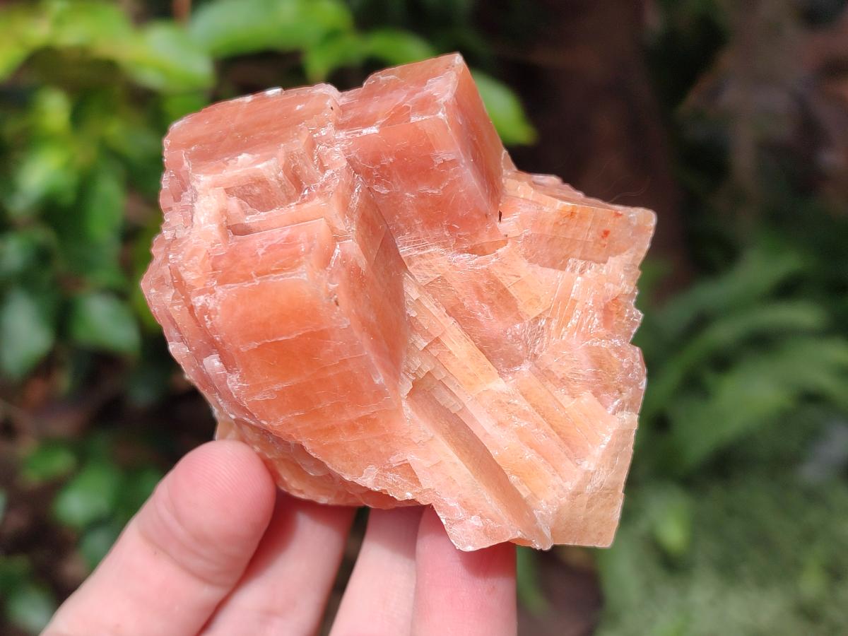 Natural Rhombohedral Sunset Orange Calcite Specimens x 6 From Spitzkop, Namibia - Toprock Gemstones and Minerals 