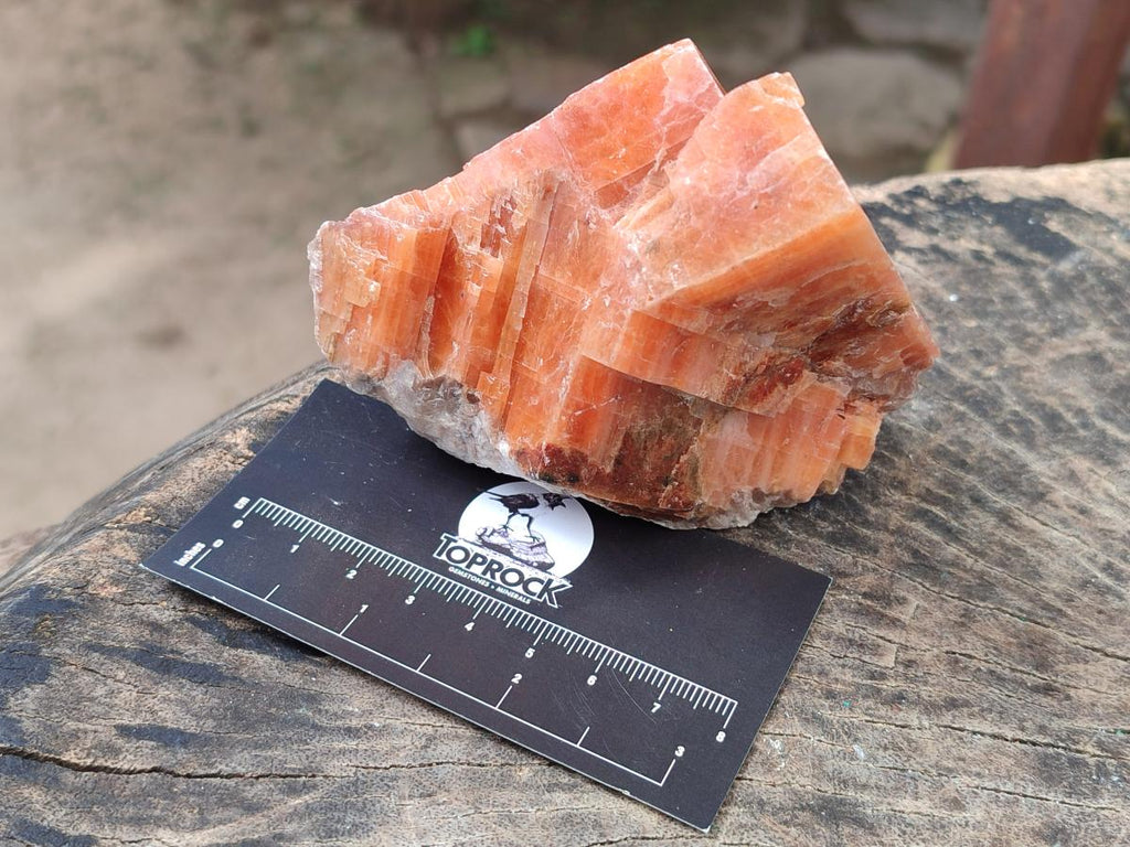 Natural Rhombohedral Sunset Orange Calcite Specimens x 6 From Spitzkop, Namibia - Toprock Gemstones and Minerals 