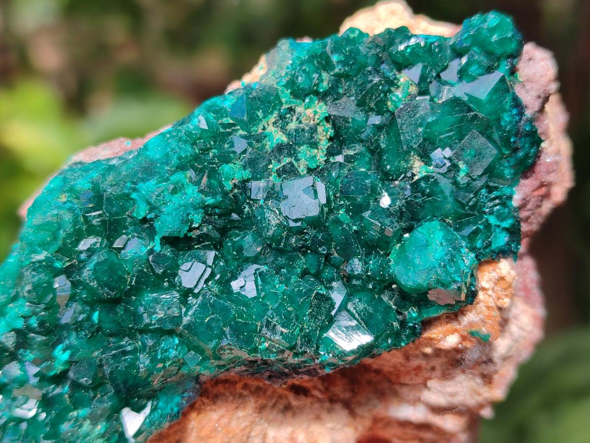 Natural Dioptase on Dolomite Specimens x 4 From Likasi, Congo - Toprock Gemstones and Minerals 