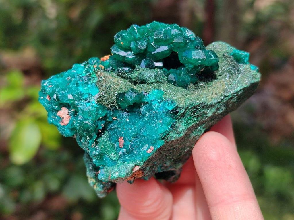 Natural Dioptase on Dolomite Specimens x 4 From Likasi, Congo - Toprock Gemstones and Minerals 