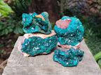 Natural Dioptase on Dolomite Specimens x 4 From Likasi, Congo - Toprock Gemstones and Minerals 