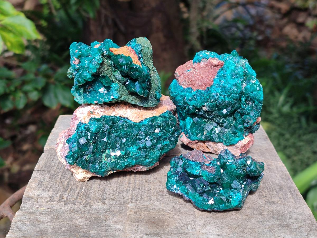 Natural Dioptase on Dolomite Specimens x 4 From Likasi, Congo - Toprock Gemstones and Minerals 