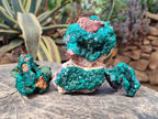 Natural Dioptase on Dolomite Specimens x 4 From Likasi, Congo - Toprock Gemstones and Minerals 
