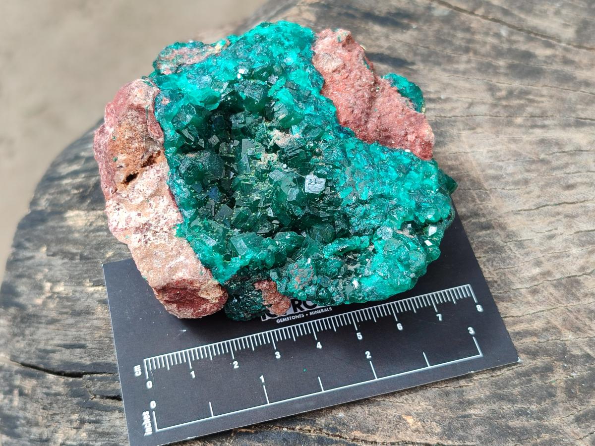 Natural Dioptase on Dolomite Specimens x 4 From Likasi, Congo - Toprock Gemstones and Minerals 