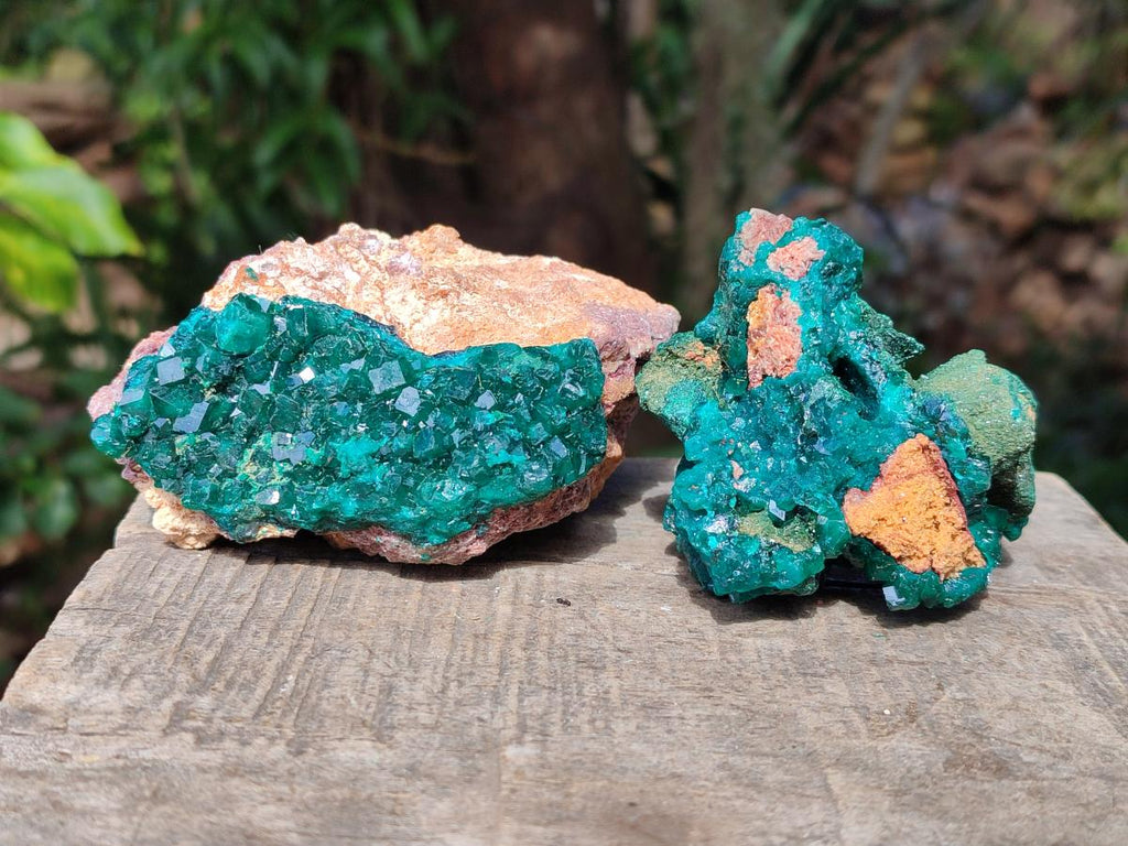 Natural Dioptase on Dolomite Specimens x 4 From Likasi, Congo - Toprock Gemstones and Minerals 