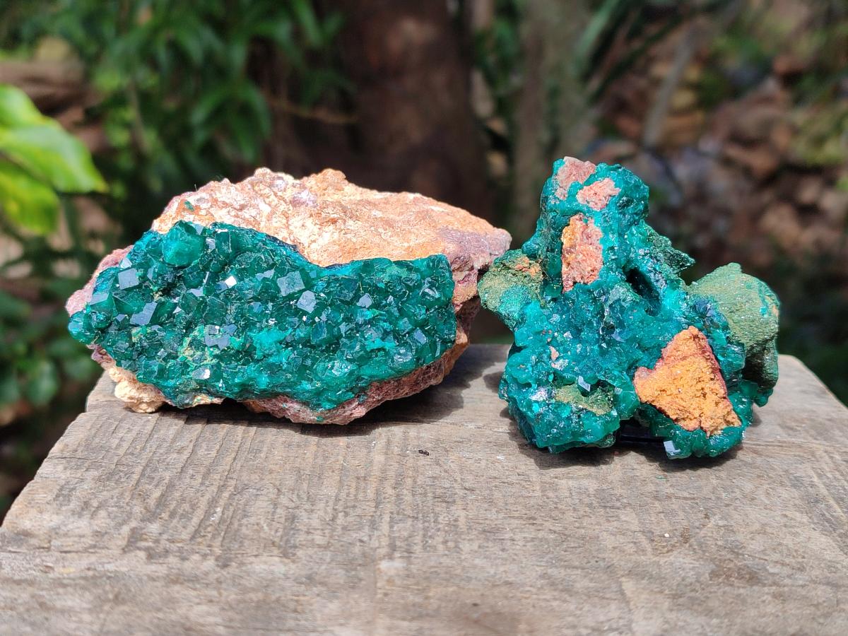 Natural Dioptase on Dolomite Specimens x 4 From Likasi, Congo - Toprock Gemstones and Minerals 
