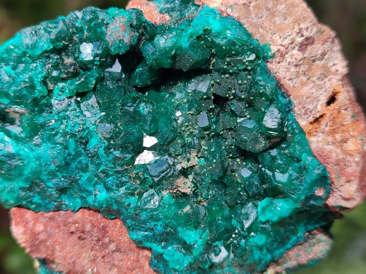 Natural Dioptase on Dolomite Specimens x 4 From Likasi, Congo - Toprock Gemstones and Minerals 