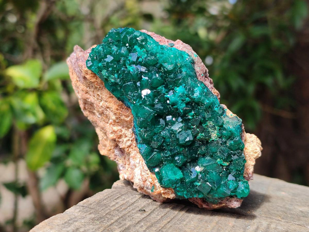 Natural Dioptase on Dolomite Specimens x 4 From Likasi, Congo - Toprock Gemstones and Minerals 
