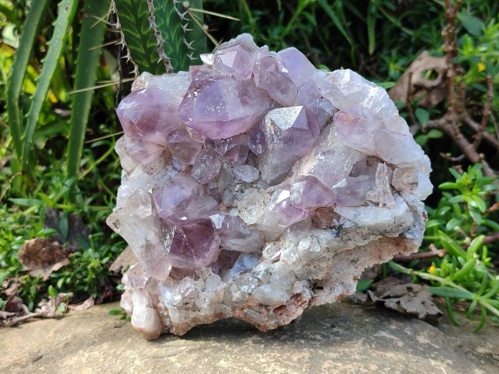 Natural Large Jacaranda Amethyst Crystal Plate x 1 From Mumbwa, Zambia - Toprock Gemstones and Minerals 