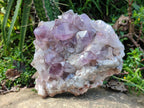 Natural Large Jacaranda Amethyst Crystal Plate x 1 From Mumbwa, Zambia - Toprock Gemstones and Minerals 