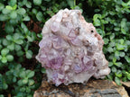Natural Large Jacaranda Amethyst Crystal Plate x 1 From Mumbwa, Zambia - Toprock Gemstones and Minerals 