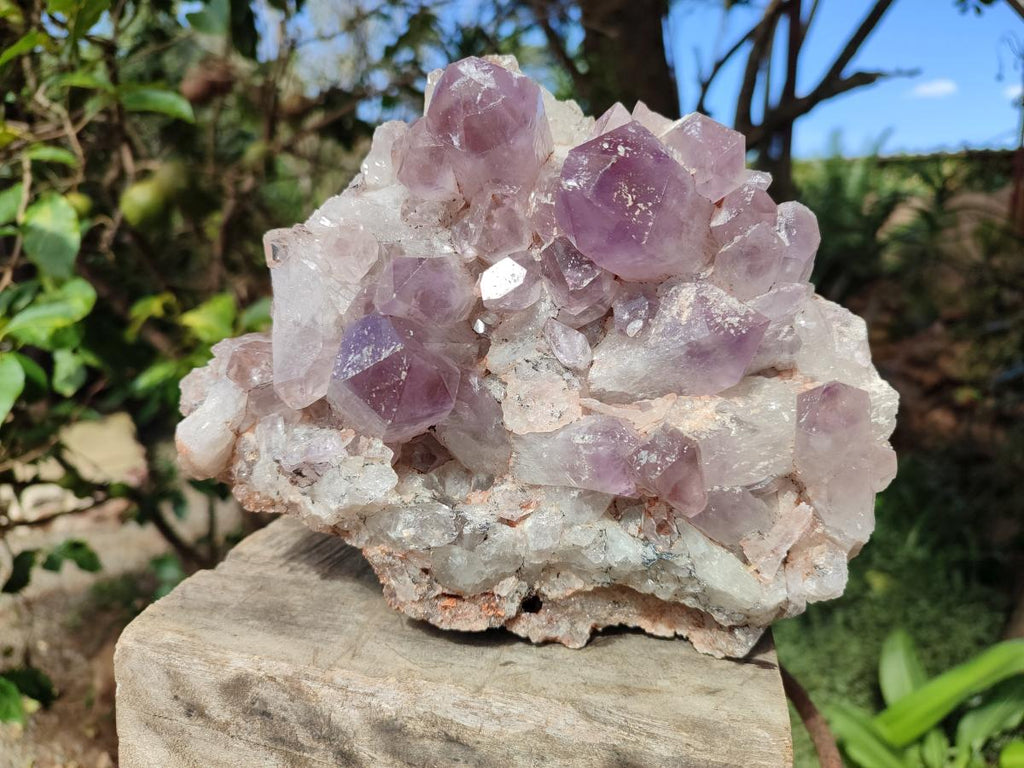 Natural Large Jacaranda Amethyst Crystal Plate x 1 From Mumbwa, Zambia - Toprock Gemstones and Minerals 