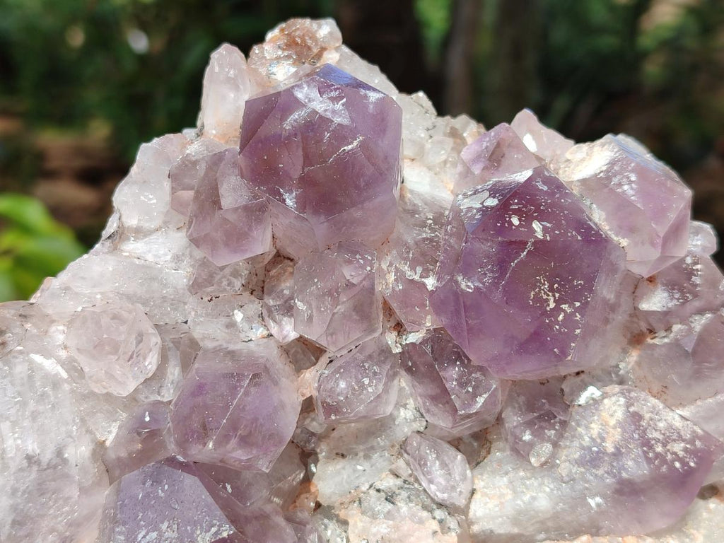 Natural Large Jacaranda Amethyst Crystal Plate x 1 From Mumbwa, Zambia - Toprock Gemstones and Minerals 