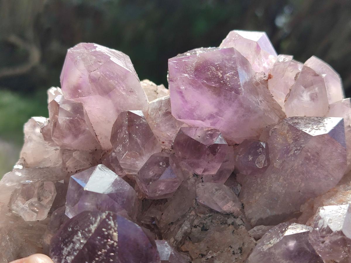 Natural Large Jacaranda Amethyst Crystal Plate x 1 From Mumbwa, Zambia - Toprock Gemstones and Minerals 