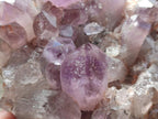 Natural Large Jacaranda Amethyst Crystal Plate x 1 From Mumbwa, Zambia - Toprock Gemstones and Minerals 