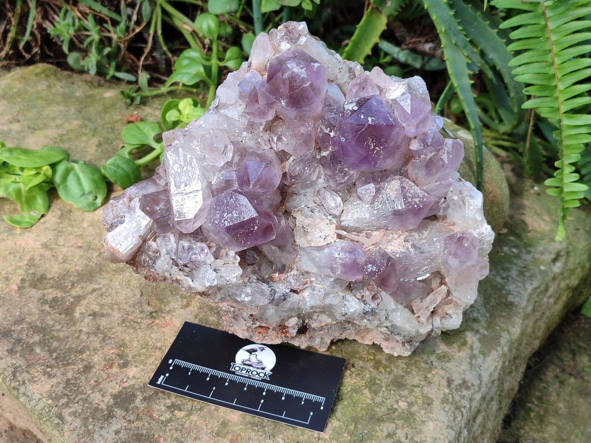 Natural Large Jacaranda Amethyst Crystal Plate x 1 From Mumbwa, Zambia - Toprock Gemstones and Minerals 