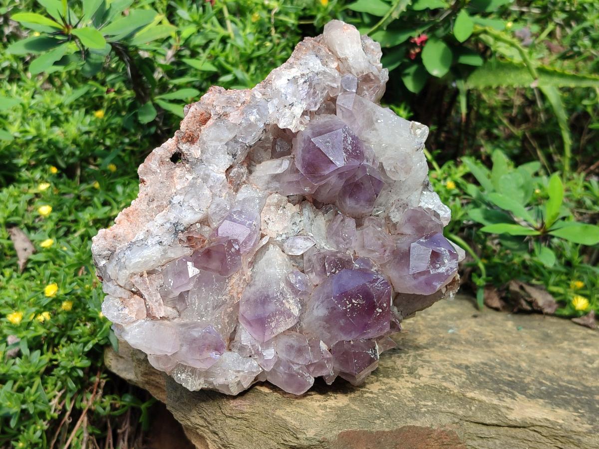 Natural Large Jacaranda Amethyst Crystal Plate x 1 From Mumbwa, Zambia - Toprock Gemstones and Minerals 