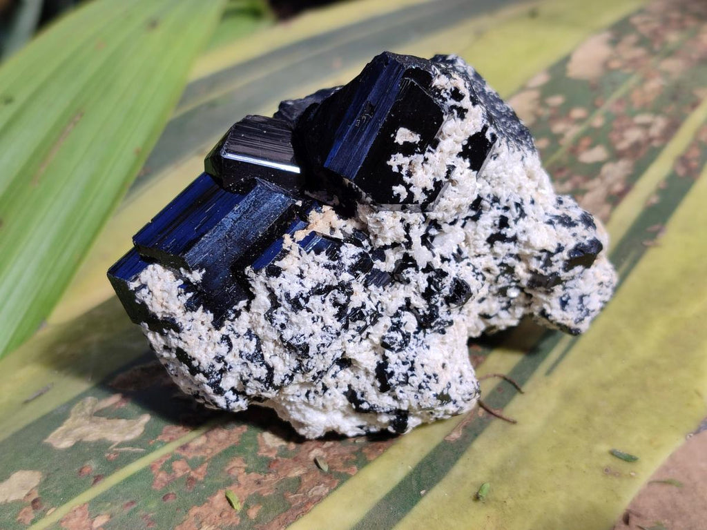 Natural Schorl Black Tourmaline with Associated Minerals x 6 From Erongo, Namibia - Toprock Gemstones and Minerals 