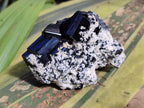 Natural Schorl Black Tourmaline with Associated Minerals x 6 From Erongo, Namibia - Toprock Gemstones and Minerals 