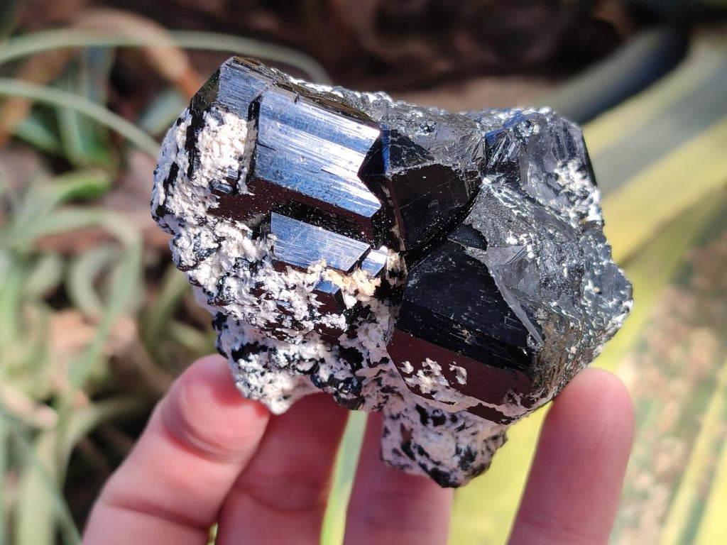 Natural Schorl Black Tourmaline with Associated Minerals x 6 From Erongo, Namibia - Toprock Gemstones and Minerals 