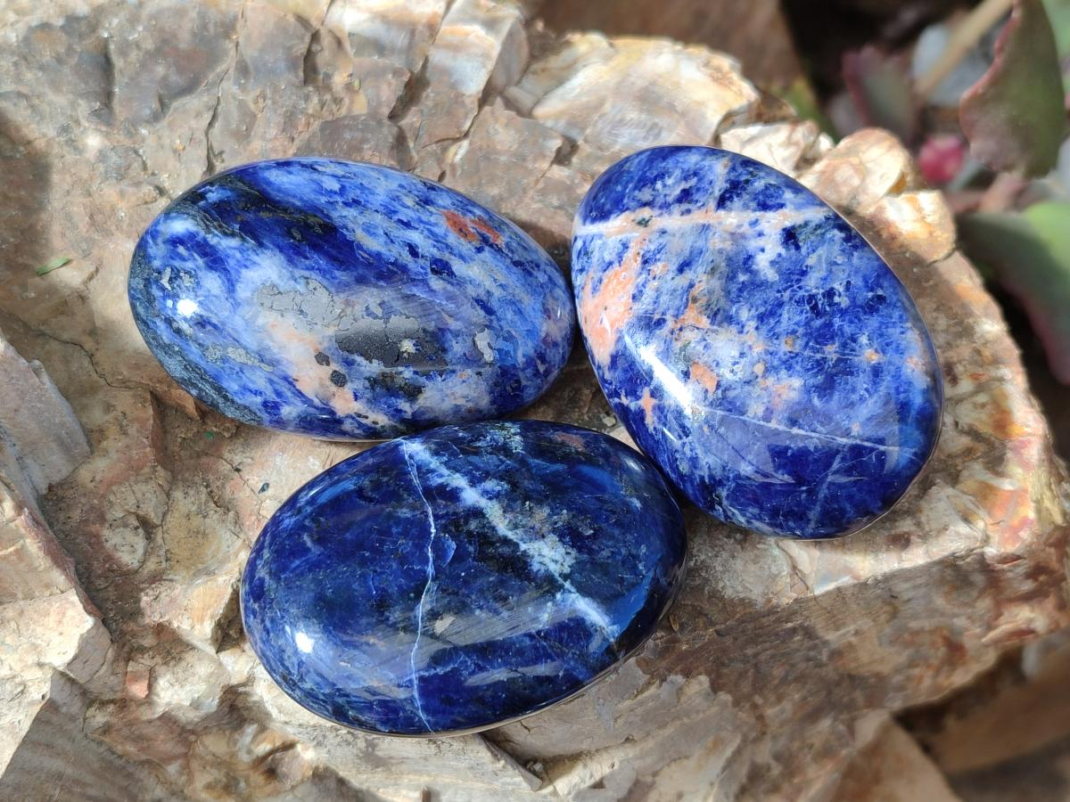 Polished Sodalite Palm Stones x 20 From Kunene River, Namibia - Toprock Gemstones and Minerals 